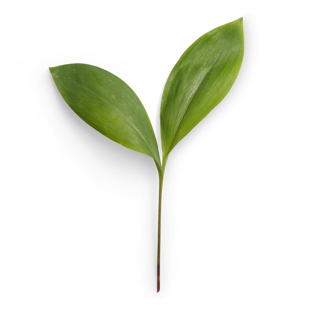 Logo chứng nhận ISO 14001